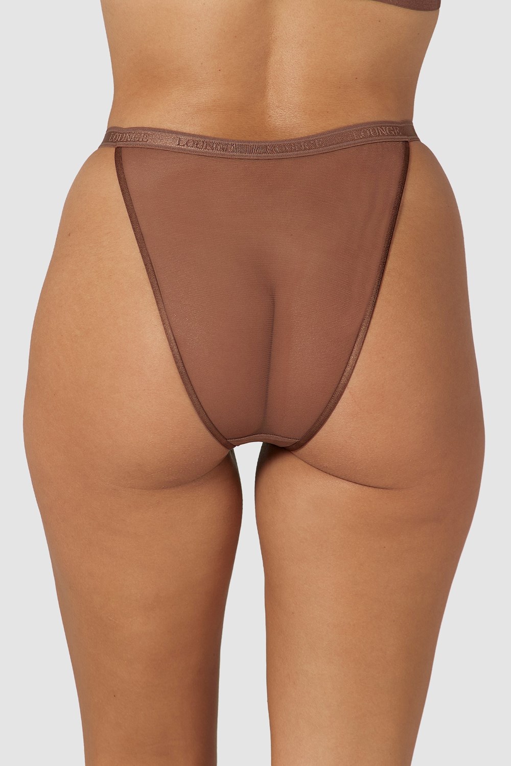 Lounge Underwear Smooth Mesh Briefs Chestnut | OM5109746